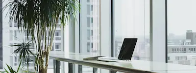 专业形象照示意